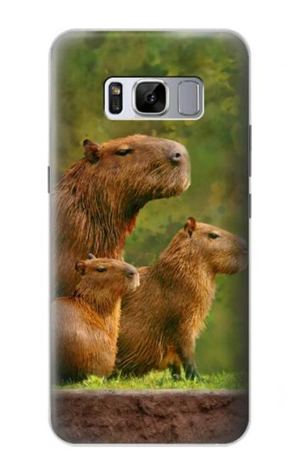 W3917 Capybara Family Giant Guinea Pig Hülle Schutzhülle Taschen und Leder Flip für Samsung Galaxy S8 Plus