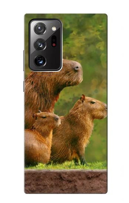 W3917 Capybara Family Giant Guinea Pig Hülle Schutzhülle Taschen und Leder Flip für Samsung Galaxy Note 20 Ultra, Ultra 5G