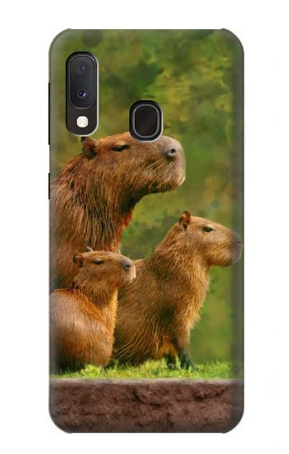 W3917 Capybara Family Giant Guinea Pig Hülle Schutzhülle Taschen und Leder Flip für Samsung Galaxy A20e
