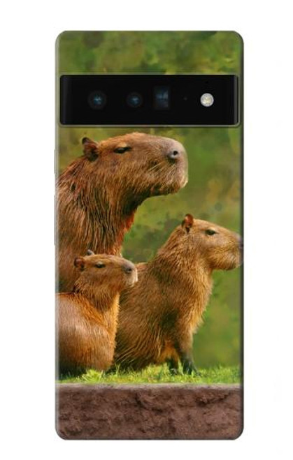 W3917 Capybara Family Giant Guinea Pig Hülle Schutzhülle Taschen und Leder Flip für Google Pixel 6 Pro