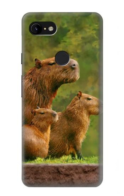 W3917 Capybara Family Giant Guinea Pig Hülle Schutzhülle Taschen und Leder Flip für Google Pixel 3 XL