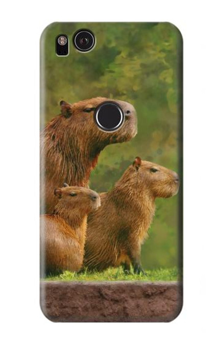 W3917 Capybara Family Giant Guinea Pig Hülle Schutzhülle Taschen und Leder Flip für Google Pixel 2