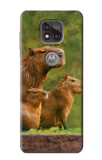 W3917 Capybara Family Giant Guinea Pig Hülle Schutzhülle Taschen und Leder Flip für Motorola Moto G Power (2021)