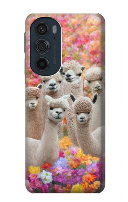 W3916 Alpaca Family Baby Alpaca Hülle Schutzhülle Taschen und Leder Flip für Motorola Edge 30 Pro