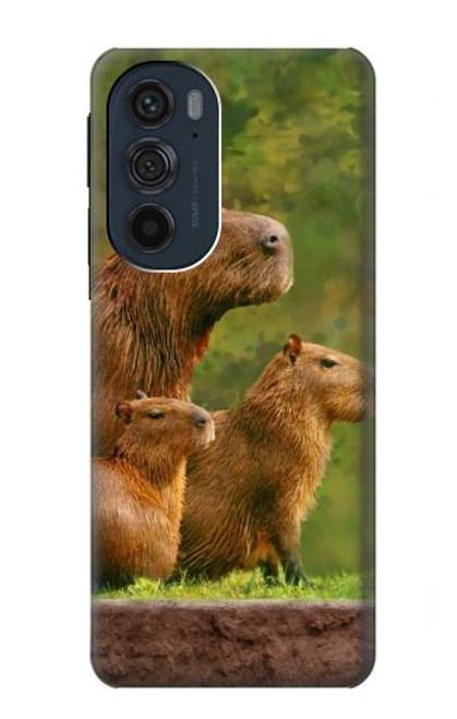 W3917 Capybara Family Giant Guinea Pig Hülle Schutzhülle Taschen und Leder Flip für Motorola Edge 30 Pro