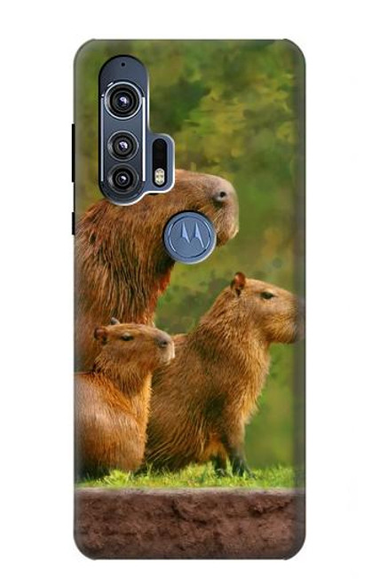 W3917 Capybara Family Giant Guinea Pig Hülle Schutzhülle Taschen und Leder Flip für Motorola Edge+