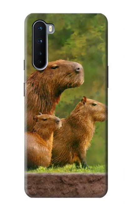 W3917 Capybara Family Giant Guinea Pig Hülle Schutzhülle Taschen und Leder Flip für OnePlus Nord