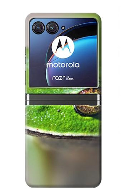 W3845 Green frog Hülle Schutzhülle Taschen Flip für Motorola Razr 40 Ultra