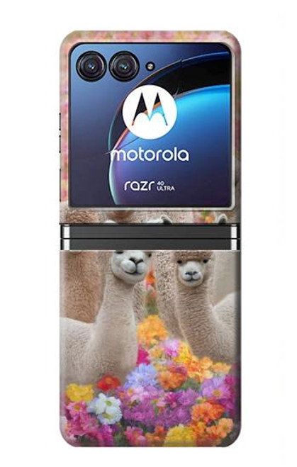 W3916 Alpaca Family Baby Alpaca Hülle Schutzhülle Taschen Flip für Motorola Razr 40 Ultra