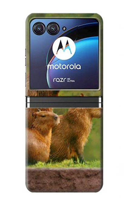 W3917 Capybara Family Giant Guinea Pig Hülle Schutzhülle Taschen Flip für Motorola Razr 40 Ultra