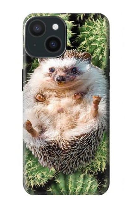 W3863 Pygmy Hedgehog Dwarf Hedgehog Paint Hülle Schutzhülle Taschen und Leder Flip für iPhone 15