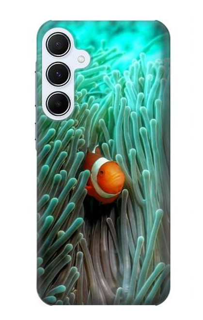 W3893 Ocellaris clownfish Hülle Schutzhülle Taschen und Leder Flip für Samsung Galaxy A55 5G