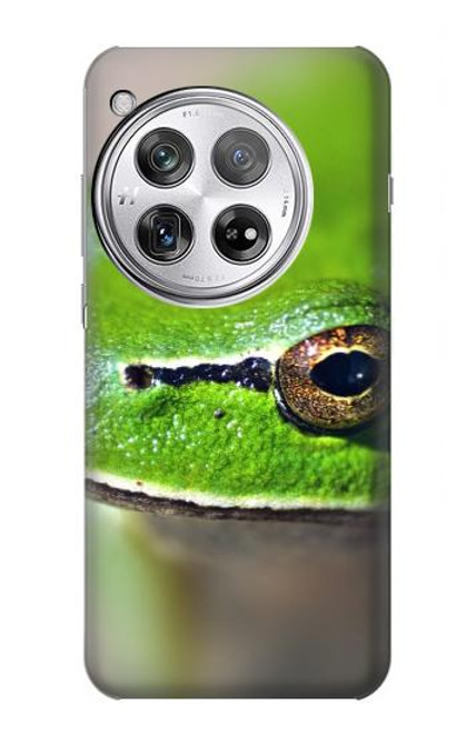 W3845 Green frog Hülle Schutzhülle Taschen und Leder Flip für OnePlus 12