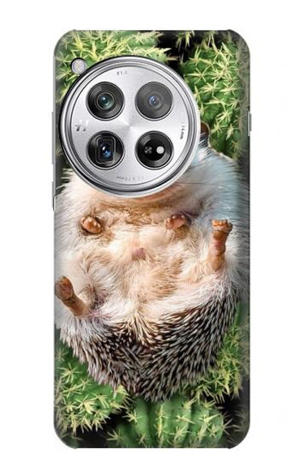 W3863 Pygmy Hedgehog Dwarf Hedgehog Paint Hülle Schutzhülle Taschen und Leder Flip für OnePlus 12