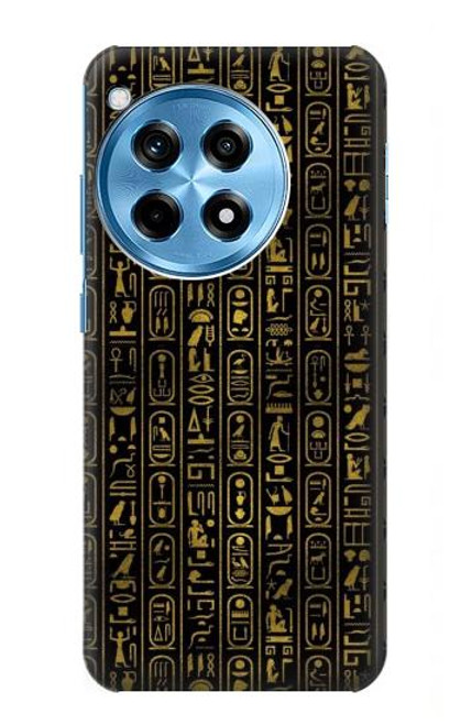 W3869 Ancient Egyptian Hieroglyphic Hülle Schutzhülle Taschen und Leder Flip für OnePlus 12R