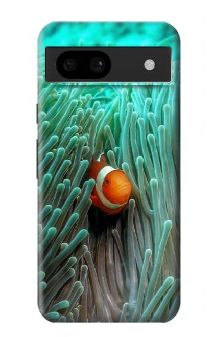W3893 Ocellaris clownfish Hülle Schutzhülle Taschen und Leder Flip für Google Pixel 8a