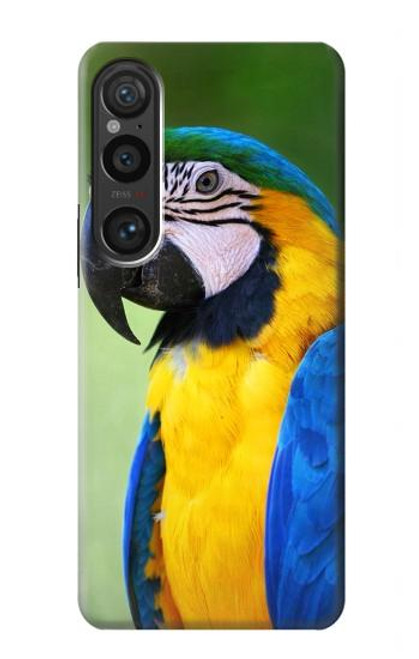 W3888 Macaw Face Bird Hülle Schutzhülle Taschen und Leder Flip für Sony Xperia 1 VI