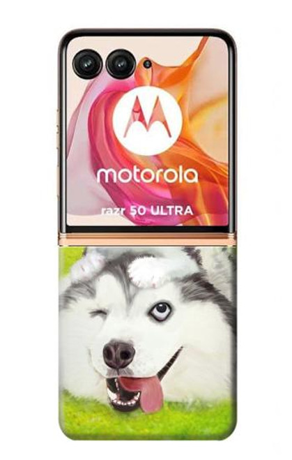 W3795 Kitten Cat Playful Siberian Husky Dog Paint Hülle Schutzhülle Taschen und Leder Flip für Motorola Razr 50 Ultra