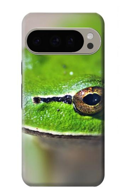 W3845 Green frog Hülle Schutzhülle Taschen und Leder Flip für Google Pixel 9 Pro