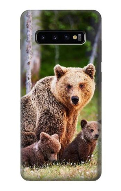 W3558 Bear Family Hülle Schutzhülle Taschen und Leder Flip für Samsung Galaxy S10 Plus