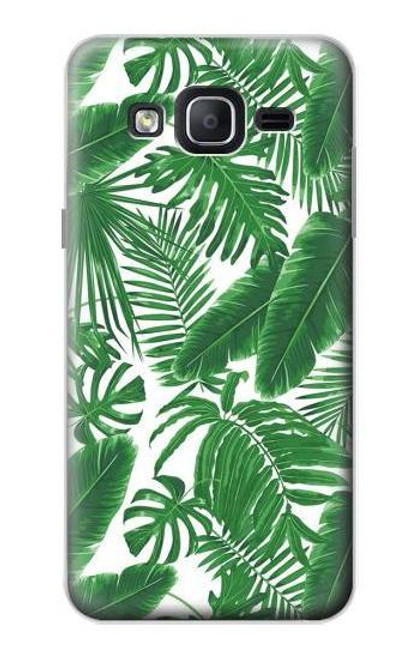 W3457 Paper Palm Monstera Hülle Schutzhülle Taschen und Leder Flip für Samsung Galaxy On5