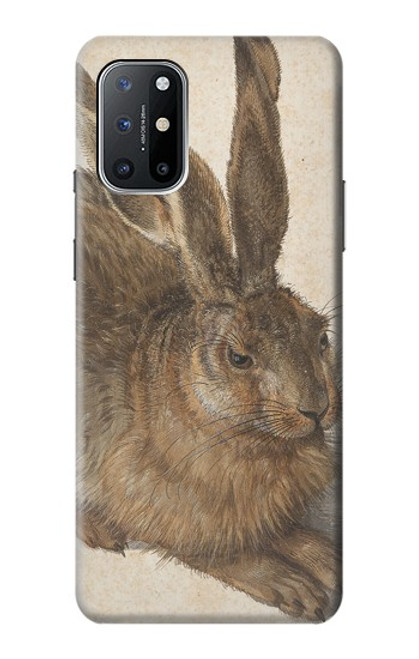 W3781 Albrecht Durer Young Hare Hülle Schutzhülle Taschen und Leder Flip für OnePlus 8T