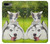 W3795 Grumpy Kitten Cat Playful Siberian Husky Dog Paint Hülle Schutzhülle Taschen und Leder Flip für iPhone 7 Plus, iPhone 8 Plus
