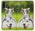 W3795 Grumpy Kitten Cat Playful Siberian Husky Dog Paint Hülle Schutzhülle Taschen und Leder Flip für Samsung Galaxy A20s