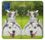 W3795 Grumpy Kitten Cat Playful Siberian Husky Dog Paint Hülle Schutzhülle Taschen und Leder Flip für Samsung Galaxy M62