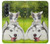 W3795 Grumpy Kitten Cat Playful Siberian Husky Dog Paint Hülle Schutzhülle Taschen Flip für Samsung Galaxy Z Fold 3 5G