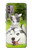 W3795 Grumpy Kitten Cat Playful Siberian Husky Dog Paint Hülle Schutzhülle Taschen und Leder Flip für Motorola Moto G30, G20, G10