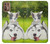 W3795 Grumpy Kitten Cat Playful Siberian Husky Dog Paint Hülle Schutzhülle Taschen und Leder Flip für Motorola Moto G9 Plus