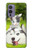 W3795 Grumpy Kitten Cat Playful Siberian Husky Dog Paint Hülle Schutzhülle Taschen und Leder Flip für OnePlus 9