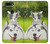W3795 Grumpy Kitten Cat Playful Siberian Husky Dog Paint Hülle Schutzhülle Taschen und Leder Flip für OnePlus 5T