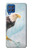 W3843 Bald Eagle On Ice Hülle Schutzhülle Taschen und Leder Flip für Samsung Galaxy M62