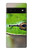 W3845 Green frog Hülle Schutzhülle Taschen und Leder Flip für Google Pixel 6