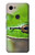 W3845 Green frog Hülle Schutzhülle Taschen und Leder Flip für Google Pixel 3a