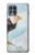 W3843 Bald Eagle On Ice Hülle Schutzhülle Taschen und Leder Flip für Motorola Edge S