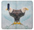 W3843 Bald Eagle On Ice Hülle Schutzhülle Taschen und Leder Flip für Nokia 5