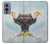 W3843 Bald Eagle On Ice Hülle Schutzhülle Taschen und Leder Flip für OnePlus 9