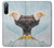 W3843 Bald Eagle On Ice Hülle Schutzhülle Taschen und Leder Flip für Sony Xperia 10 III Lite