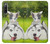 W3795 Kitten Cat Playful Siberian Husky Dog Paint Hülle Schutzhülle Taschen und Leder Flip für Sony Xperia 10 IV