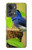 W3839 Bluebird of Happiness Blue Bird Hülle Schutzhülle Taschen und Leder Flip für OnePlus Nord 2T