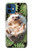 W3863 Pygmy Hedgehog Dwarf Hedgehog Paint Hülle Schutzhülle Taschen und Leder Flip für iPhone 12 mini