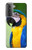 W3888 Macaw Face Bird Hülle Schutzhülle Taschen und Leder Flip für Samsung Galaxy S21 Plus 5G, Galaxy S21+ 5G
