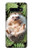 W3863 Pygmy Hedgehog Dwarf Hedgehog Paint Hülle Schutzhülle Taschen und Leder Flip für Samsung Galaxy S10