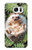 W3863 Pygmy Hedgehog Dwarf Hedgehog Paint Hülle Schutzhülle Taschen und Leder Flip für Samsung Galaxy S7