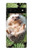 W3863 Pygmy Hedgehog Dwarf Hedgehog Paint Hülle Schutzhülle Taschen und Leder Flip für Google Pixel 6