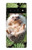 W3863 Pygmy Hedgehog Dwarf Hedgehog Paint Hülle Schutzhülle Taschen und Leder Flip für Google Pixel 6 Pro