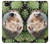 W3863 Pygmy Hedgehog Dwarf Hedgehog Paint Hülle Schutzhülle Taschen und Leder Flip für Google Pixel 2